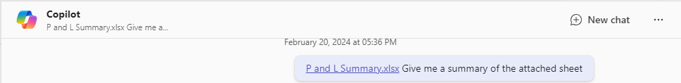 P and L Summary output in Copilot