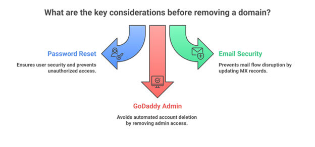 Key Considerations Before Removing a Domain from GoDaddy